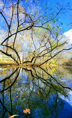 312918750_10225458687791782_6000005315530021093_n